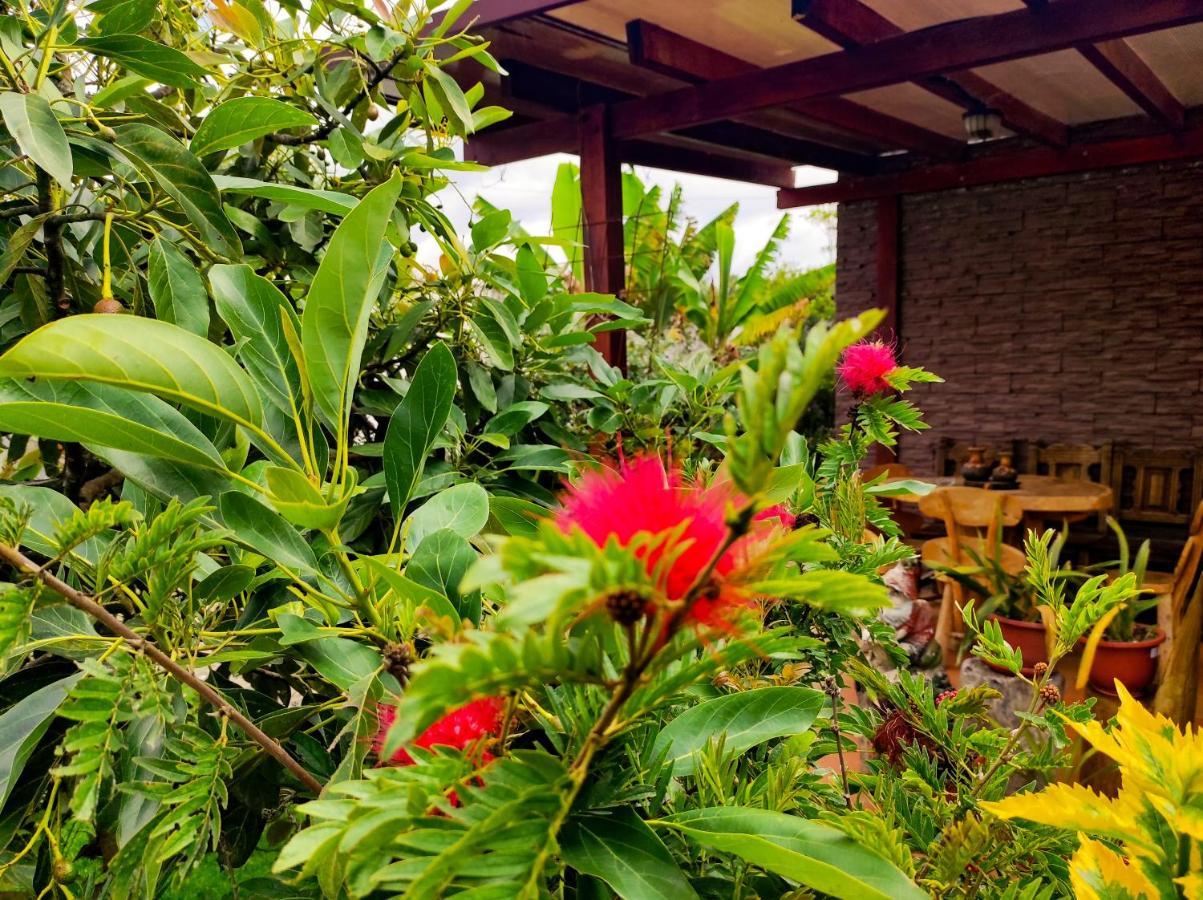 Hotel Las Mercedes Airport-Quito Tababela Dış mekan fotoğraf